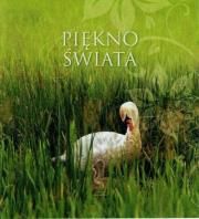 MUSZELKI - Piękno świata. Autor: Maciej Zimnicki. Dadada.pl Okładka książki MUSZELKI - Piękno świata
