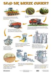 Okładka książki Plansza - Skąd się bierze miod / cukier