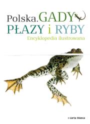 Polska Gady płazy i ryby Encyklopedia ilustrowana. Autor: Opracowanie zbiorowe. Dadada.pl Okładka książki Polska Gady płazy i ryby Encyklopedia ilustrowana