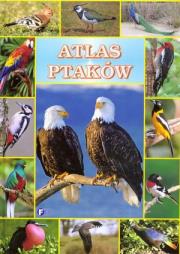 Okładka książki Atlas ptaków FENIX