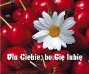 Okładka książki DLA CIEBIE BO CIE LUBIE PERELKA 187-SWPA