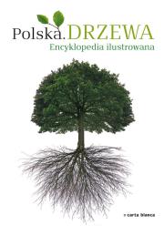 Drzewa. Encyklopedia ilustrowana CARTA BLANCA. Autor: Przybyłowicz Anna. Dadada.pl Okładka książki Drzewa. Encyklopedia ilustrowana CARTA BLANCA