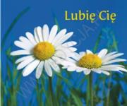 Okładka książki Lubię Cię. Perełka 162