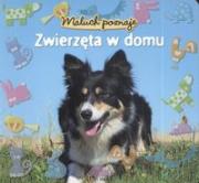 Okładka książki Maluch poznaje - zwierzęta w domu