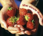 Okładka książki Mieć otwarte dłonie. Perełka 115