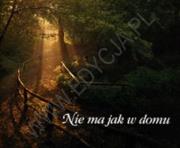 Okładka książki Nie ma jak w domu. Perełka 12