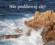 Okładka książki Nie poddawaj się! Perełka 118