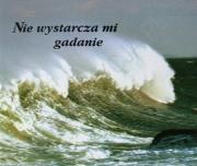 Okładka książki Perełka 021 - Nie wystarcza mi gadanie