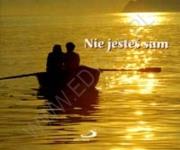 Okładka książki Perełka 071 - Nie jesteś sam