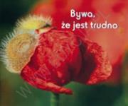 Okładka książki Perełka 113 - Bywa, że jest trudno.