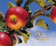 Perełka 120 - Dla Ciebie. Autor: PERELKA 120. Dadada.pl Okładka książki Perełka 120 - Dla Ciebie