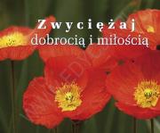 Okładka książki Perełka 193 - Zwyciężaj dobrocią i miłością.