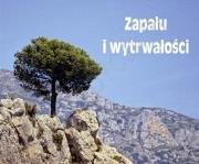Perełka 195 - Zapału i wytrwałości. Autor: PERELKA 195. Dadada.pl Okładka książki Perełka 195 - Zapału i wytrwałości