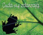 Perełka 207 - Cuda się zdarzają.. Autor: Opracowanie zbiorowe. Dadada.pl Okładka książki Perełka 207 - Cuda się zdarzają.