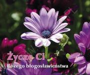 Okładka książki Perełka 215 - Życzę Ci Bożego błogosławieństwa.