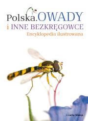 Polska Owady i inne bezkręgowce Encyklopedia ilustrowana. Autor:   Praca zbiorowa. Dadada.pl Okładka książki Polska Owady i inne bezkręgowce Encyklopedia ilustrowana