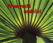 Okładka książki Promyczki nadziei. Perełka 141