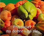 Okładka książki Przyjaciel na dobre i na złe. Perełka 176