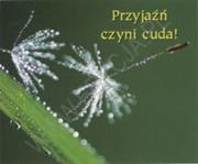 Okładka książki Przyjaźń czyni cuda. Perełka 140