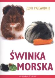 Świnka morska. Złoty przewodnik. Autor: O'Neill Amanda. Dadada.pl Okładka książki Świnka morska. Złoty przewodnik