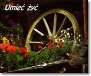 Okładka książki Umieć żyć. Perełka 2