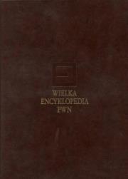 Opakowanie Wielka encyklopedia PWN T.3