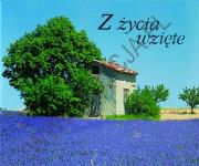 Okładka książki Z życia wzięte. Perełka 13