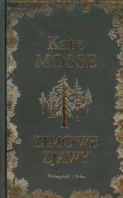 Okładka książki Zimowe zjawy