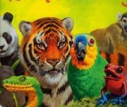 Okładka książki Zwierzęta Dżungli