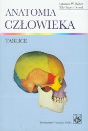 Okładka książki Anatomia człowieka Tablice