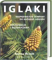 Iglaki. Autor: Adrian Bloom. Dadada.pl Okładka książki Iglaki