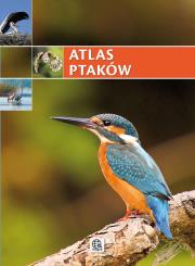 Imagine. Atlas ptaków. Autor:   Praca zbiorowa. Dadada.pl Okładka książki Imagine. Atlas ptaków
