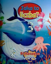 Jaka to liczba Błyszczące elementy. Autor: TBH174. Dadada.pl Okładka książki Jaka to liczba Błyszczące elementy