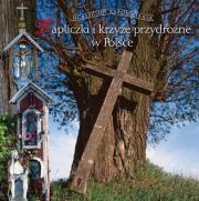 Okładka książki Kapliczki i krzyże przydrożne. Ocalić od zapomn.