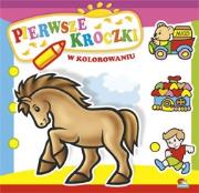 Okładka książki Kolorowanka Pierwsze kroczki w kolorowaniu (20)