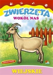 Okładka książki Kolorowanka Zwierzęta wokół nas (25)