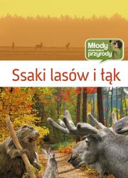Młody obserwator przyrody - Ssaki lasów i łąk. Autor: Multico. Dadada.pl Okładka książki Młody obserwator przyrody - Ssaki lasów i łąk