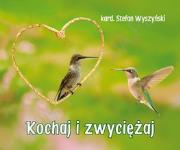 Perełka 235 - Kochaj i zwyciężaj. Autor: Opracowanie zbiorowe. Dadada.pl Okładka książki Perełka 235 - Kochaj i zwyciężaj