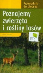 Przewodnik do plecaka. Poznajemy rośliny i... Autor: Dorota Zawadzka. Dadada.pl Okładka książki Przewodnik do plecaka. Poznajemy rośliny i..