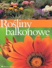Rośliny balkonowe. Autor: Joachim Mayer. Dadada.pl Okładka książki Rośliny balkonowe