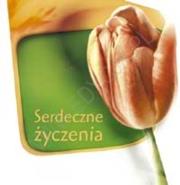 Okładka książki Serdeczne życzenia. Bursztynowa 1