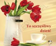 Okładka książki TO SZCZESLIWY DZIEN PERELKA 134-SWPA