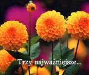 Okładka książki Trzy najważniejsze Perełka 142