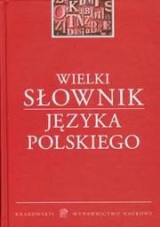 Okładka książki Wielki słownik języka polskiego