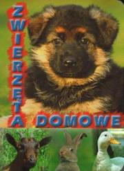Zwierzęta domowe. Autor: praca zbiorowa. Dadada.pl Okładka książki Zwierzęta domowe