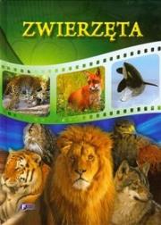 Okładka książki Zwierzęta FENIX