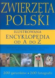 Zwierzęta Polski. Ilustrowana encyklopedia od A do Z. Autor: RATAJSZCZAK  nagrodowka gimnaz. Dadada.pl Okładka książki Zwierzęta Polski. Ilustrowana encyklopedia od A do Z