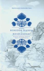 Między Beskidem Śląskim a Bieszczadami. Autor: Bartłomiej Grzegorz Sala. Dadada.pl Okładka książki Między Beskidem Śląskim a Bieszczadami