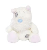 Okładka książki Miś BLUE NOSE - Terier Digger