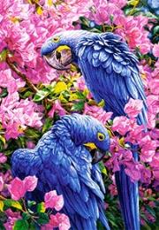 Okładka książki Puzzle 1000 Blue Parrots
